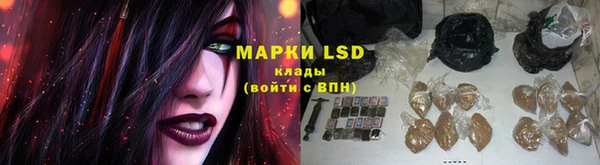 сатива Верхнеуральск