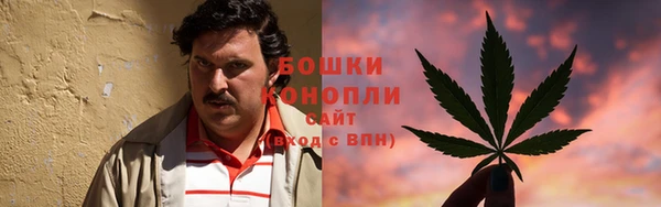 сатива Верхнеуральск