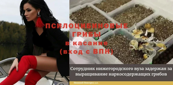 сатива Верхнеуральск