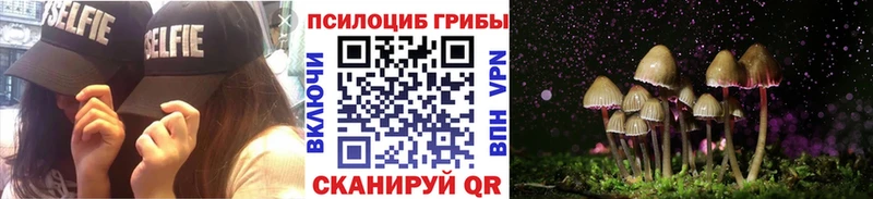 закладка  Шатура  Псилоцибиновые грибы GOLDEN TEACHER 